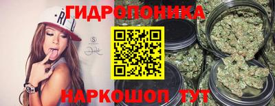 гидропоника Гусиноозёрск