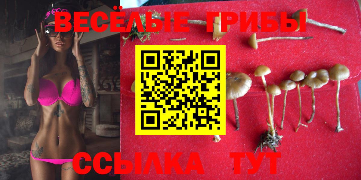 Псилоцибиновые грибы мицелий  Вход с VPN  Муром 