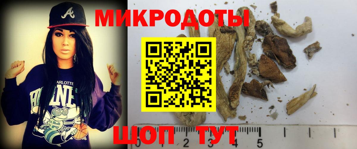 Псилоцибиновые грибы Psilocybe Муром